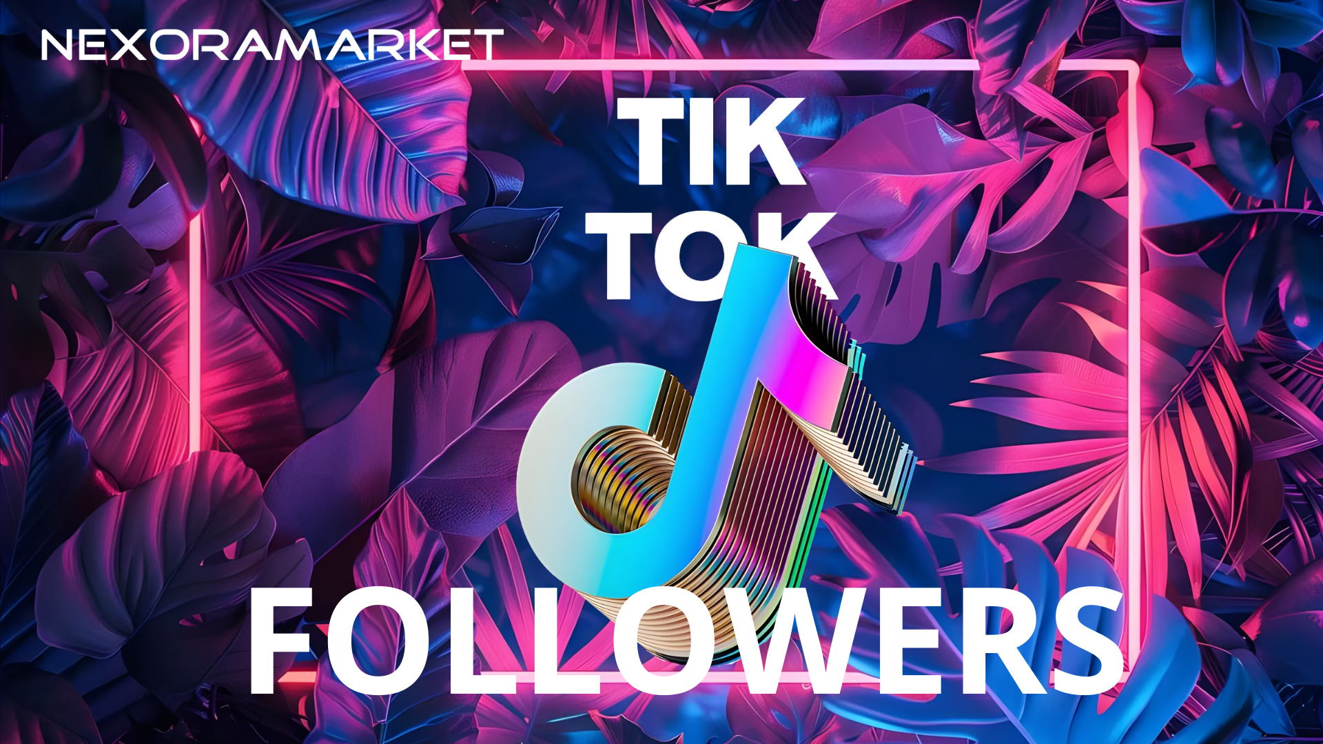 TikTok Seguidores