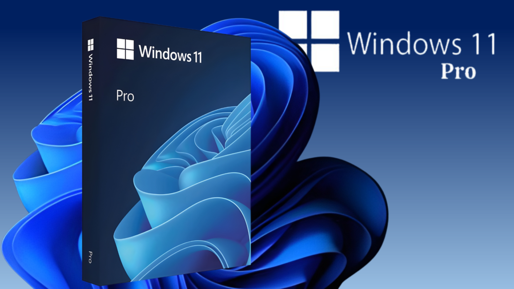 Windows 11 pro